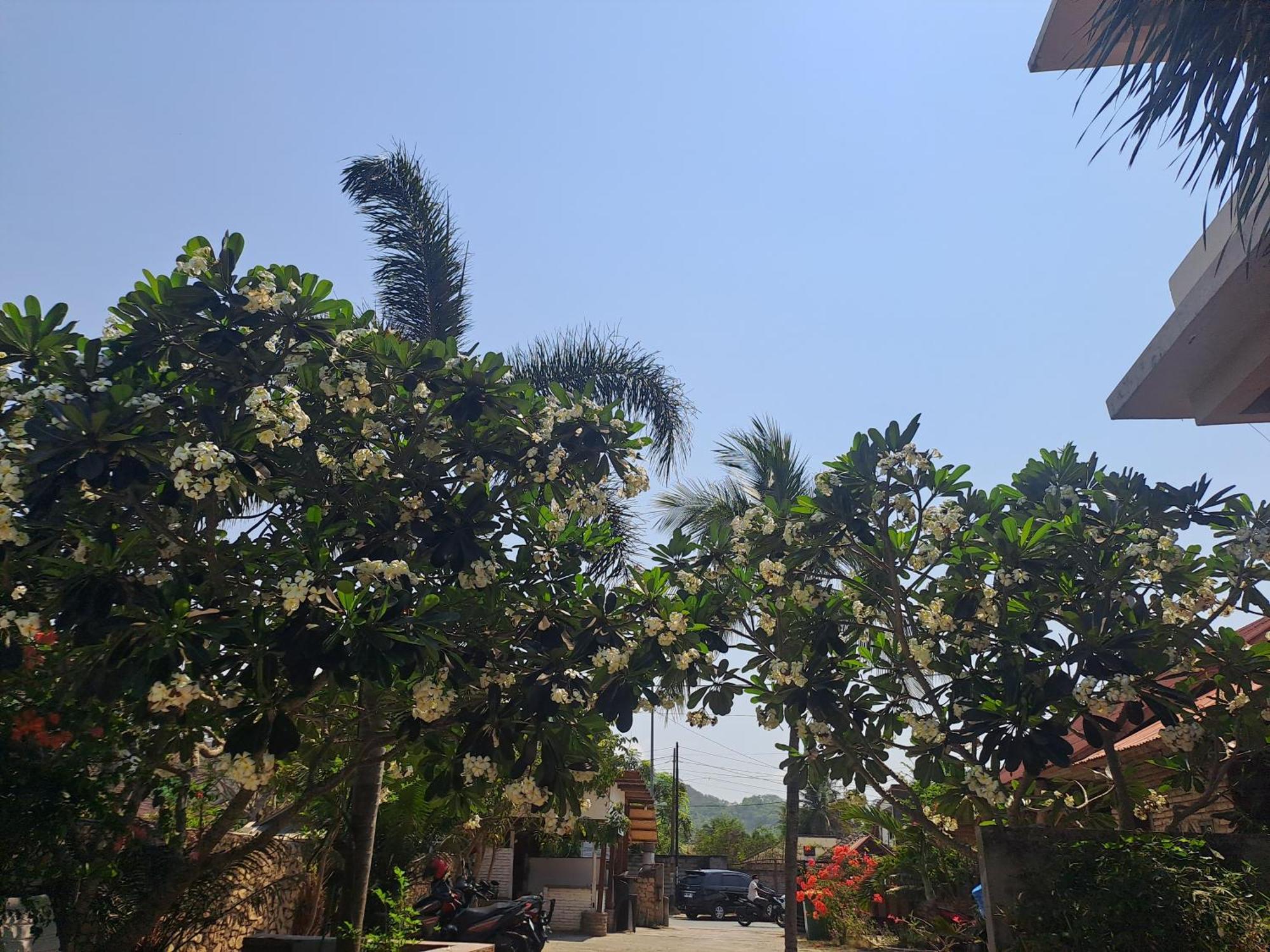 Kutabay Homestay Kuta  Eksteriør billede